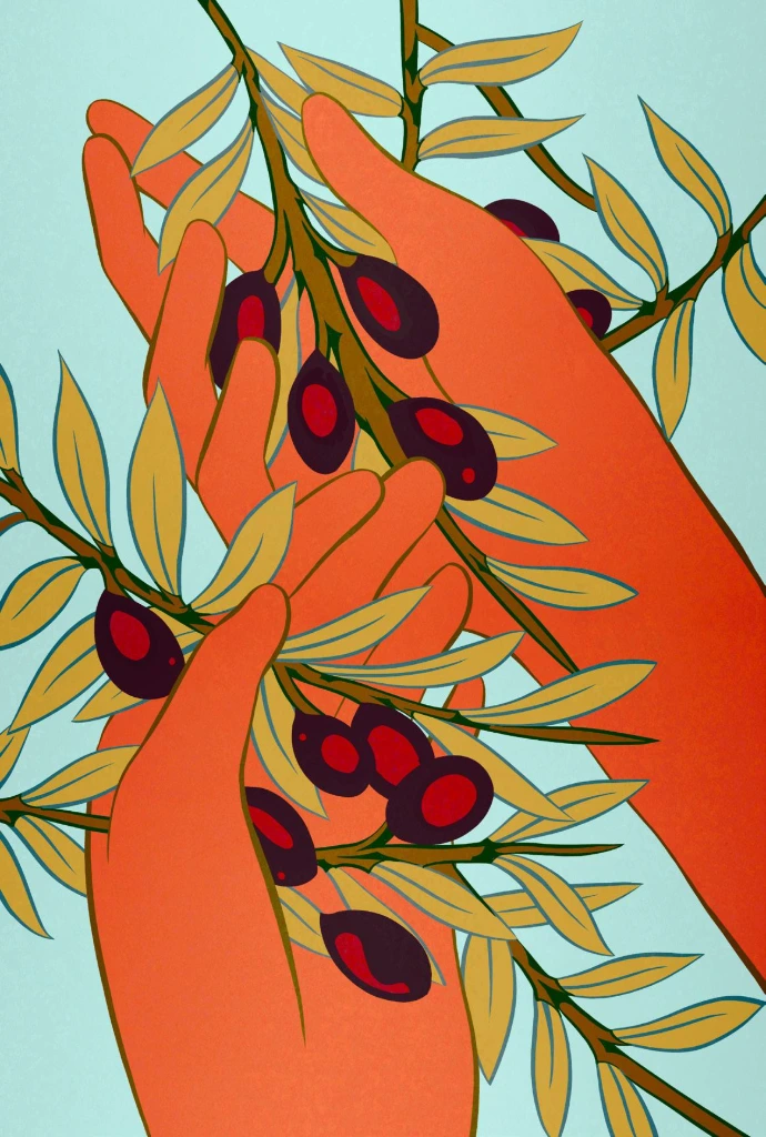 Illustration la cuillette d'olives EKITOPI
