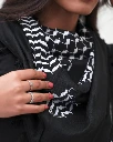 inverted_hirbawi_kufiya_keffiyeh-1.webp